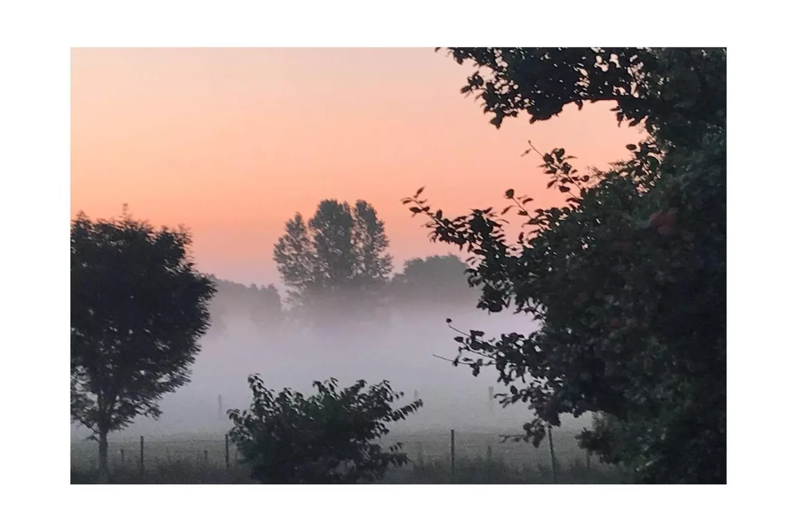 242843-Gebieden zomer 5km