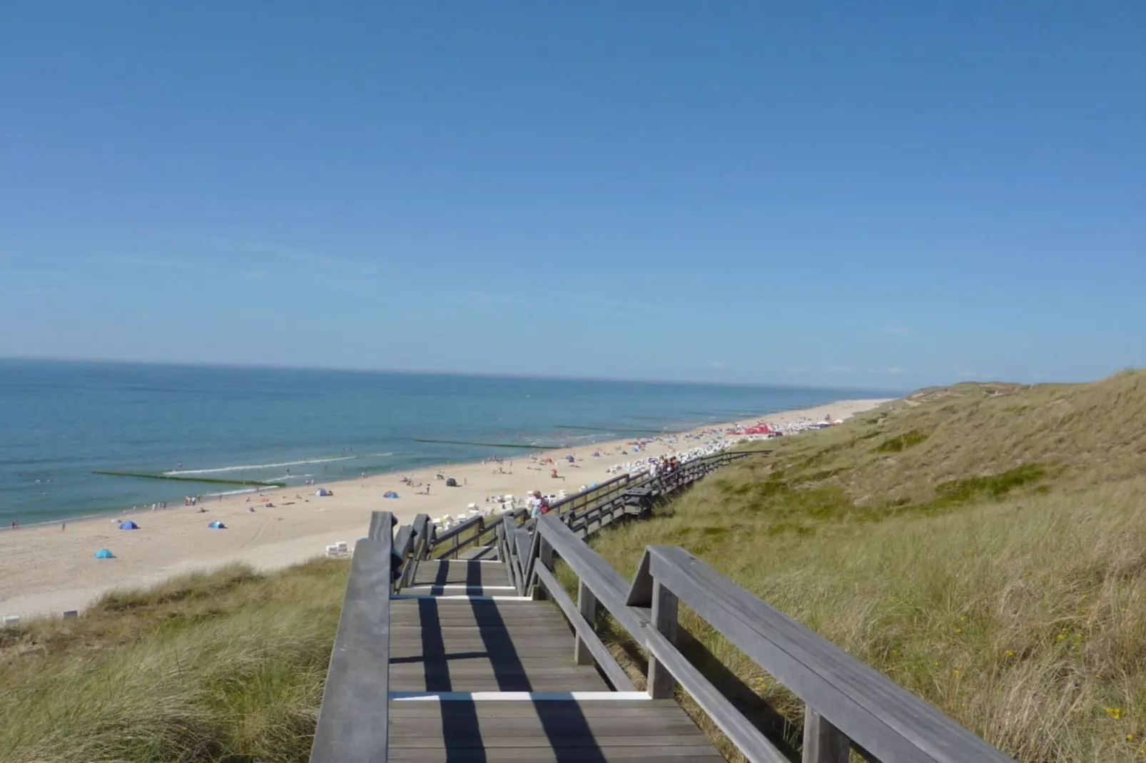 104214-Gebieden zomer 5km