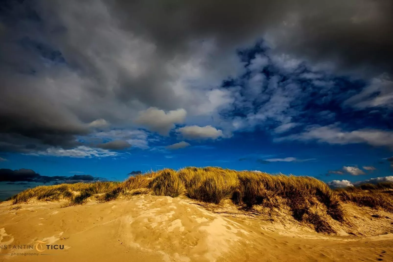 67705 - Gebieden zomer 5km