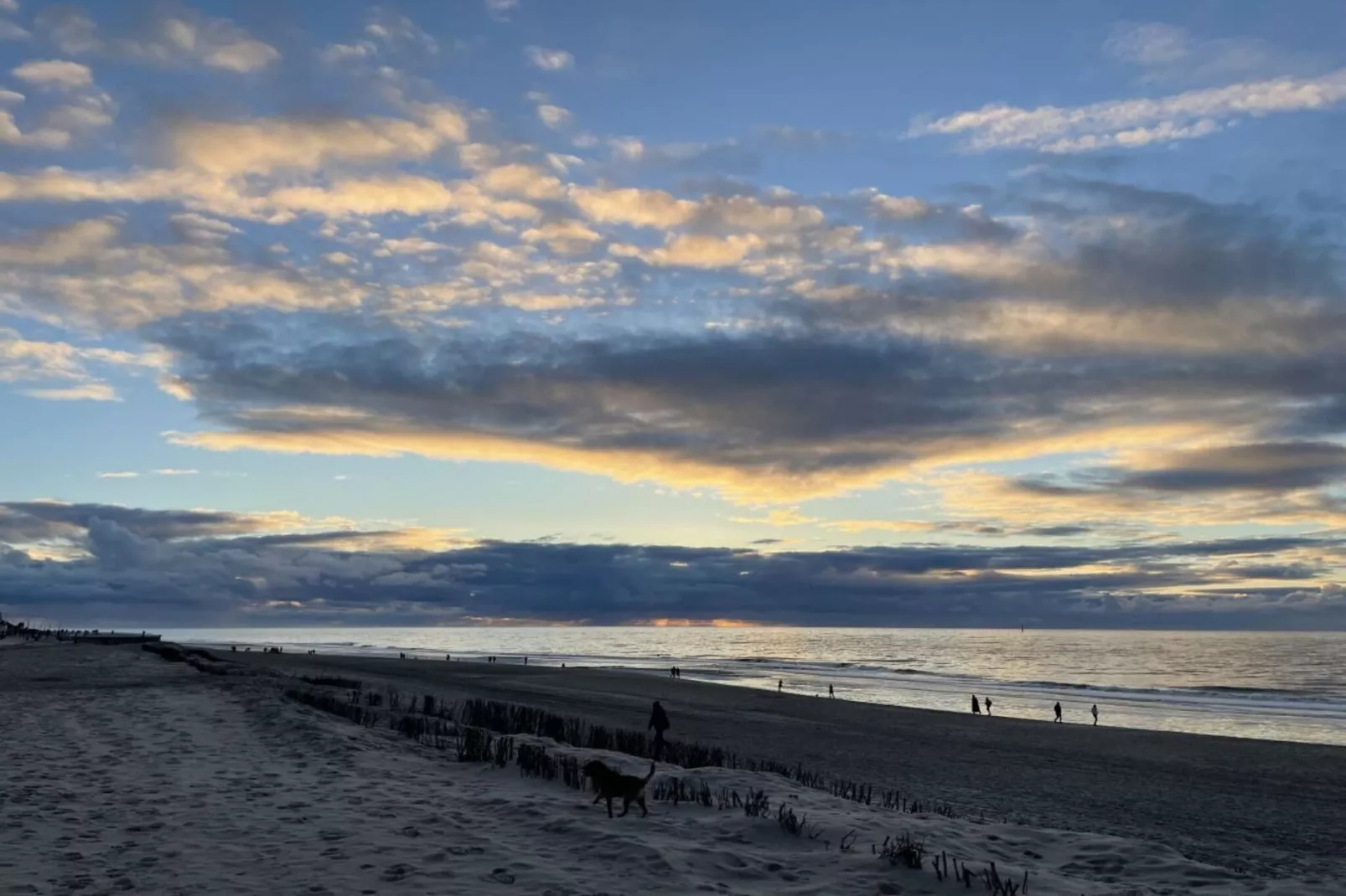 387179-Gebieden zomer 5km