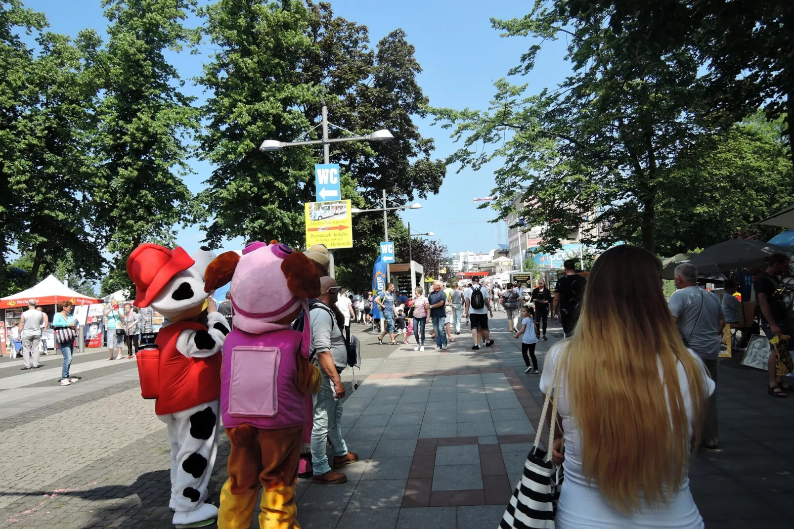Domki Trebor dla 5 osób - Gebieden zomer 1km