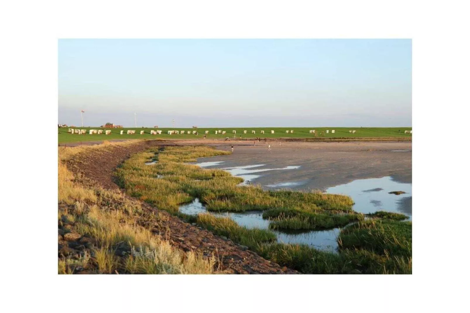 487221 - Gebieden zomer 5km