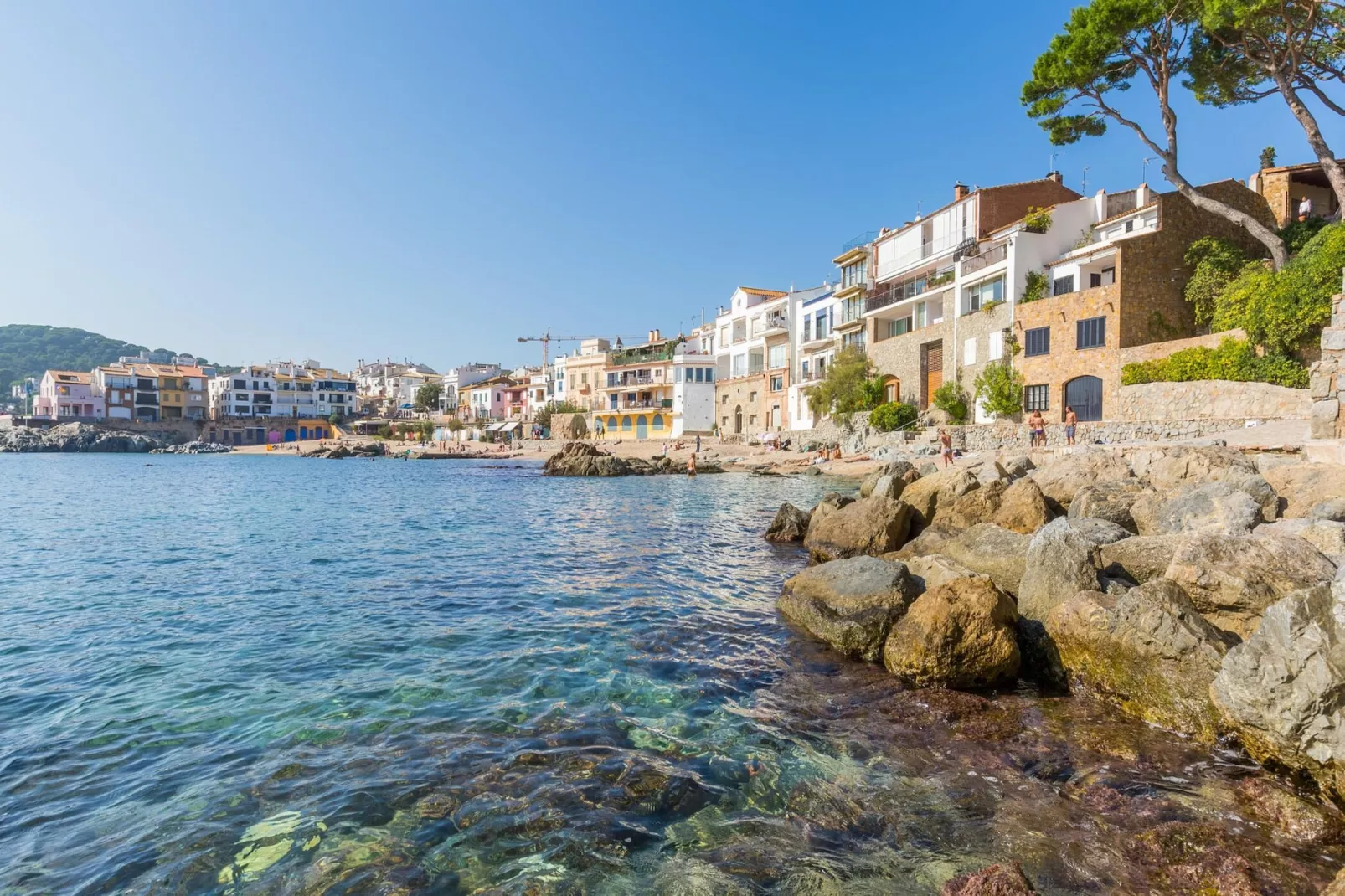 Sarrio-Gebieden zomer 5km