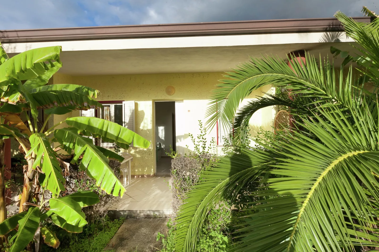 Limoncello-Buitenkant zomer