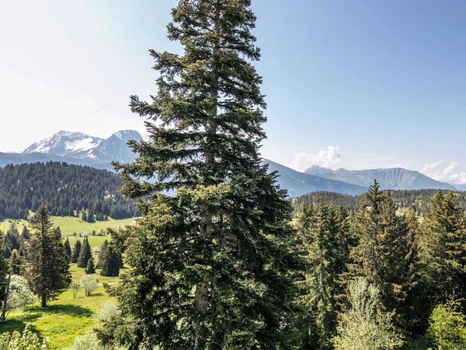 V du Bachat Sorbiers E-Buiten