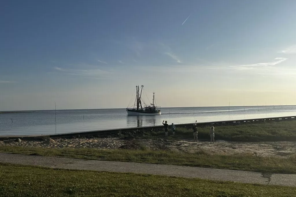 479956 - Niet-getagd