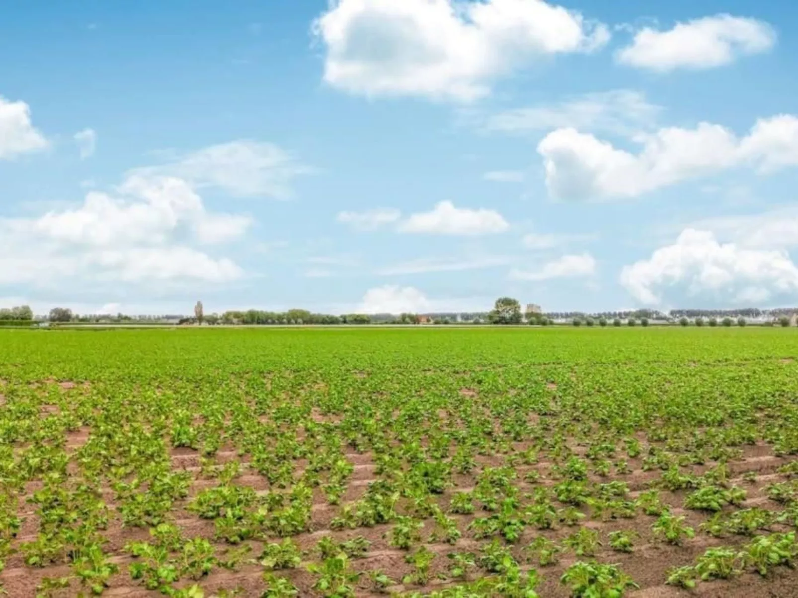 Zeeuwse Rust Stavenisse - Image-tags.info