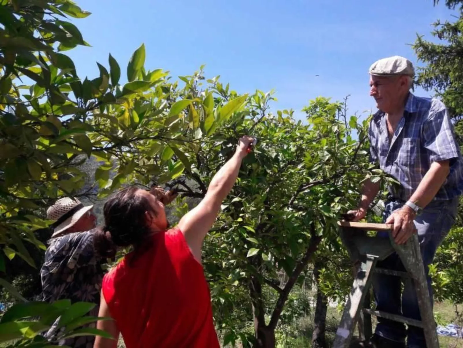 Locations-06 - la maison de noelie - Gartengeschoss - Image-tags.info