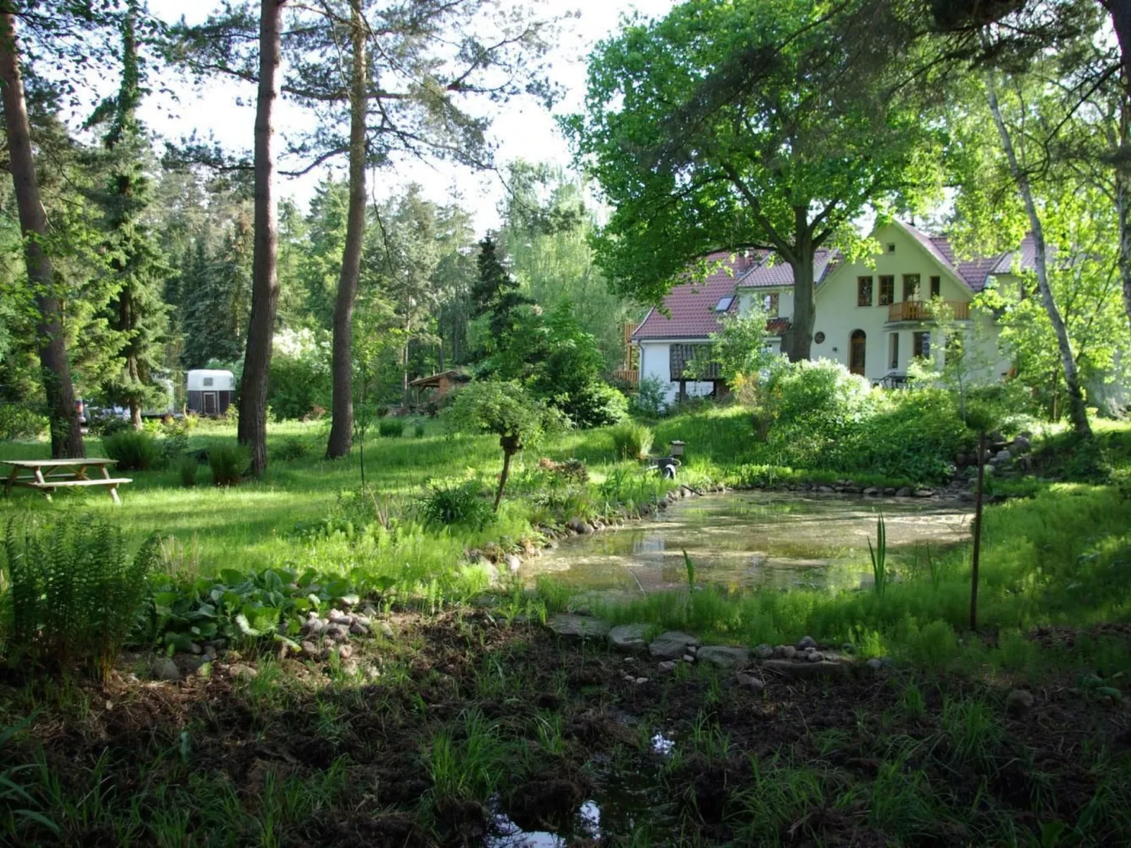 Seerose - Image-tags.info