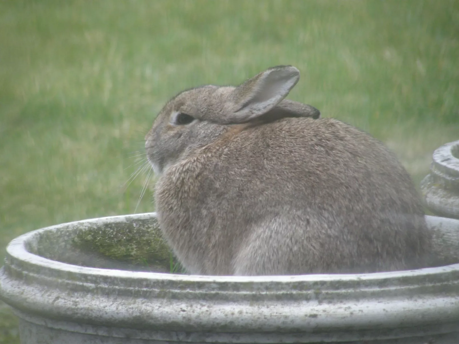 Appartement Meidoorn in Jabbeke - Image-tags.info