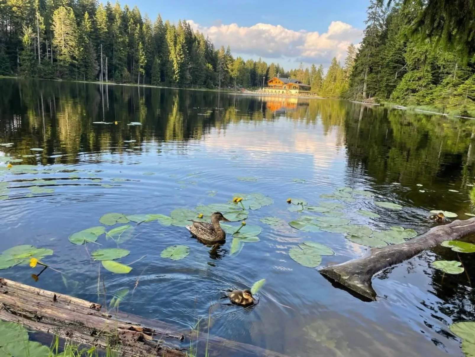 Gesamte Wohnung in Böbrach mit Garten und Grill - Image-tags.info