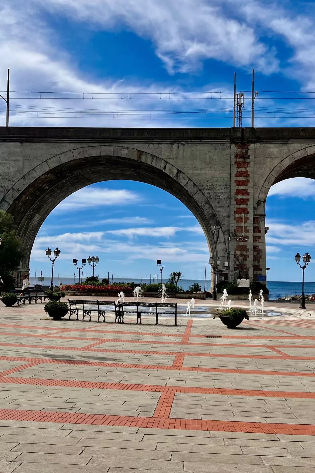 Pitosforo - Image-tags.info