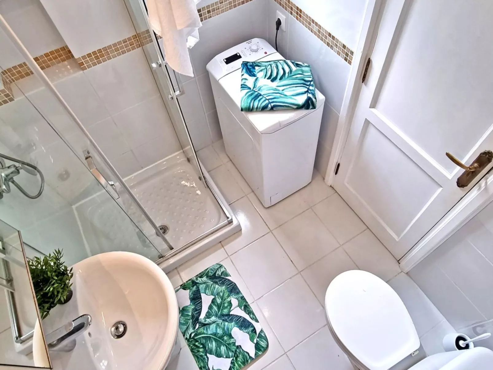 Palm Garden - Image-tags.info