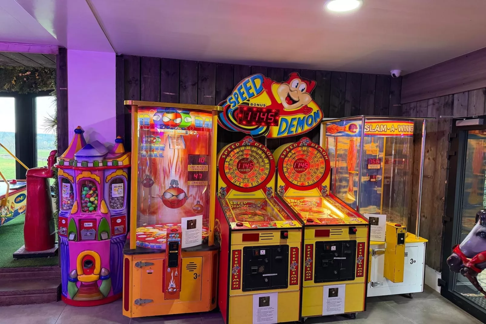 La Maison des Fleurs-Recreatieruimte