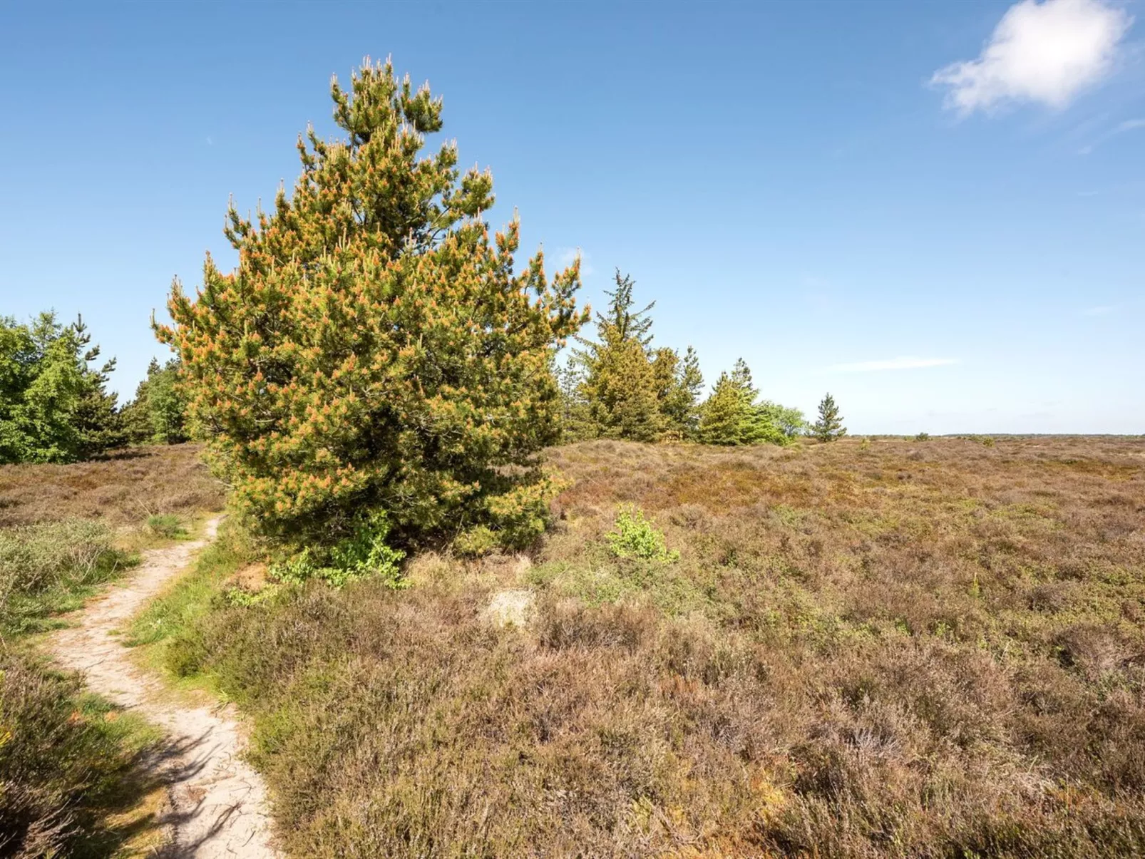 "Atti" - 2.5km from the sea - Buiten