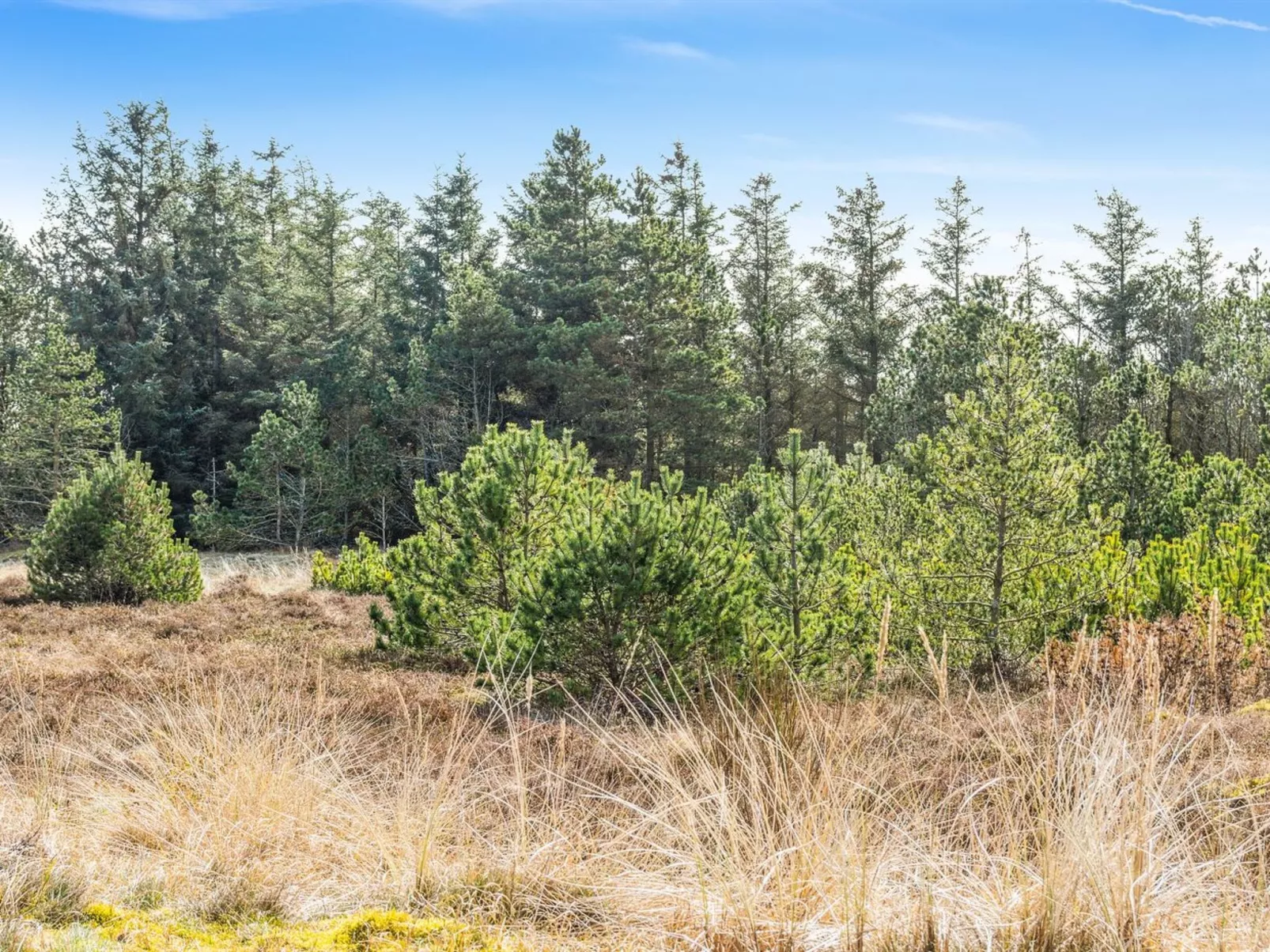 "Vappu" - 400m to the fjord-Buiten