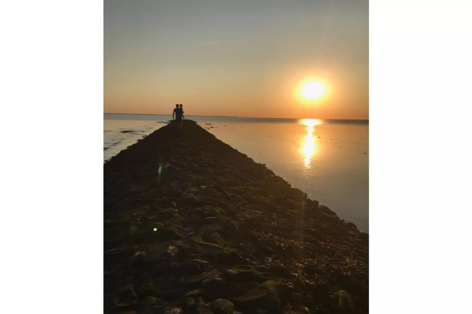 242843-Gebieden zomer 5km
