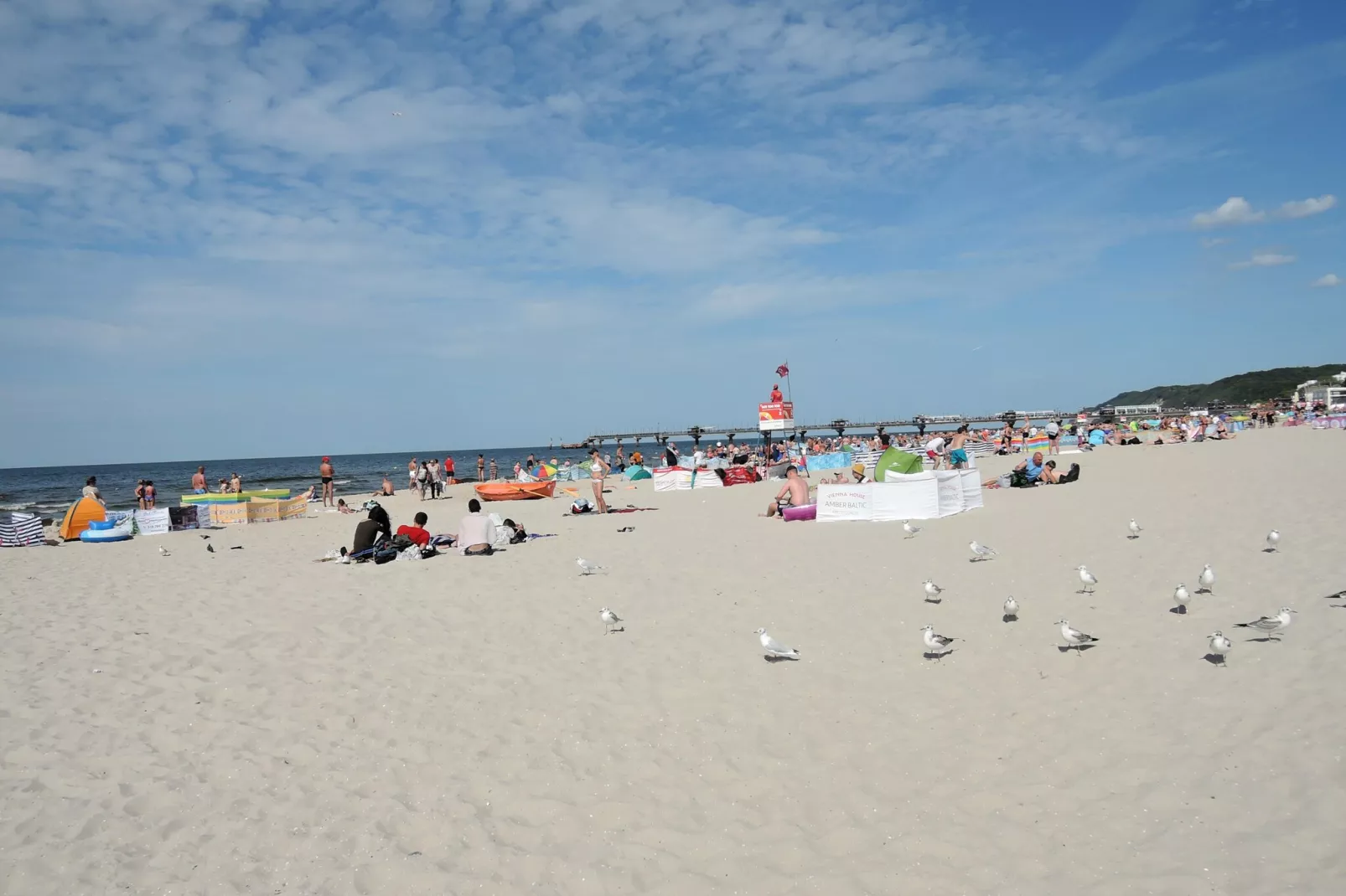 Domki Trebor dla 6 osób - Gebieden zomer 1km