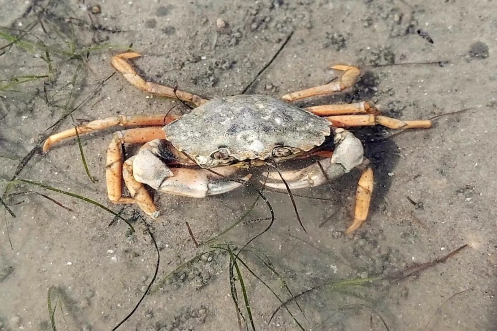 490310 - Gebieden zomer 5km