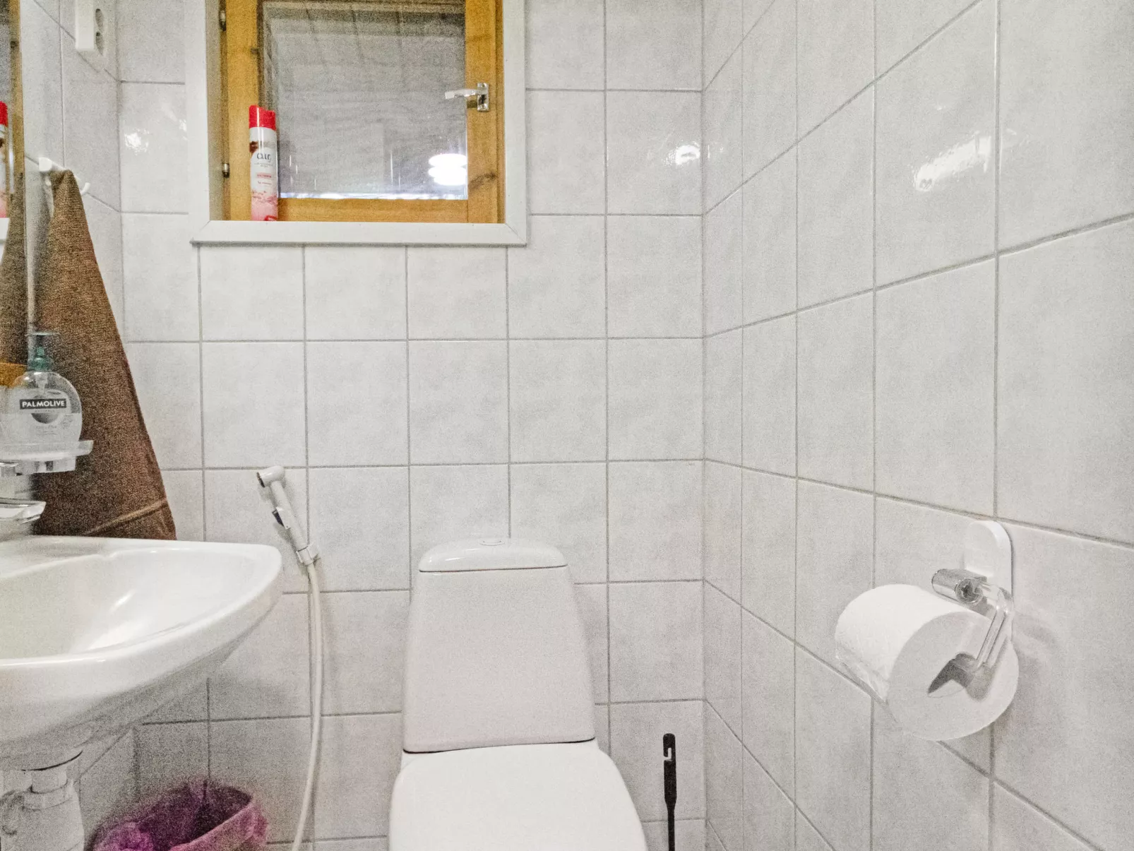 Kalliokoivu - Binnen