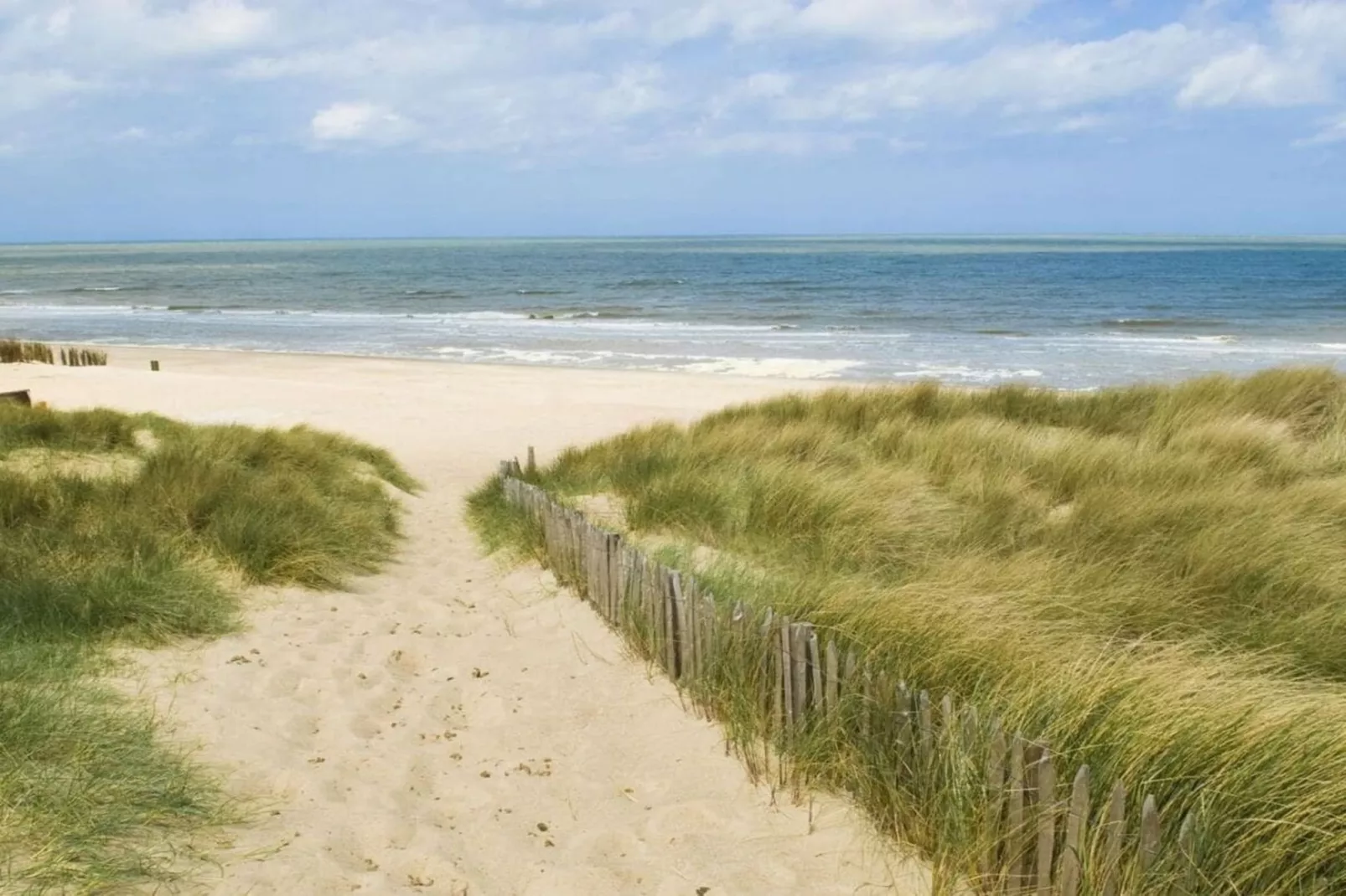 381615 - Gebieden zomer 5km