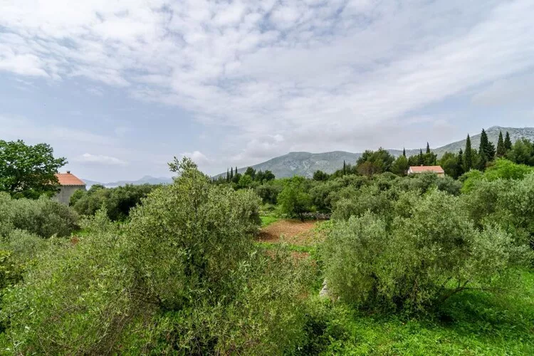 Guest House Kola - Standard Double Room with Balcony-Uitzicht