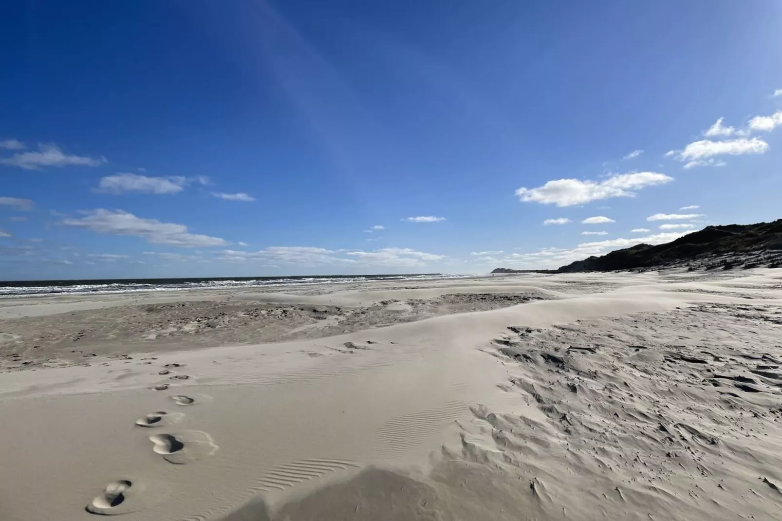 487372 - Gebieden zomer 5km
