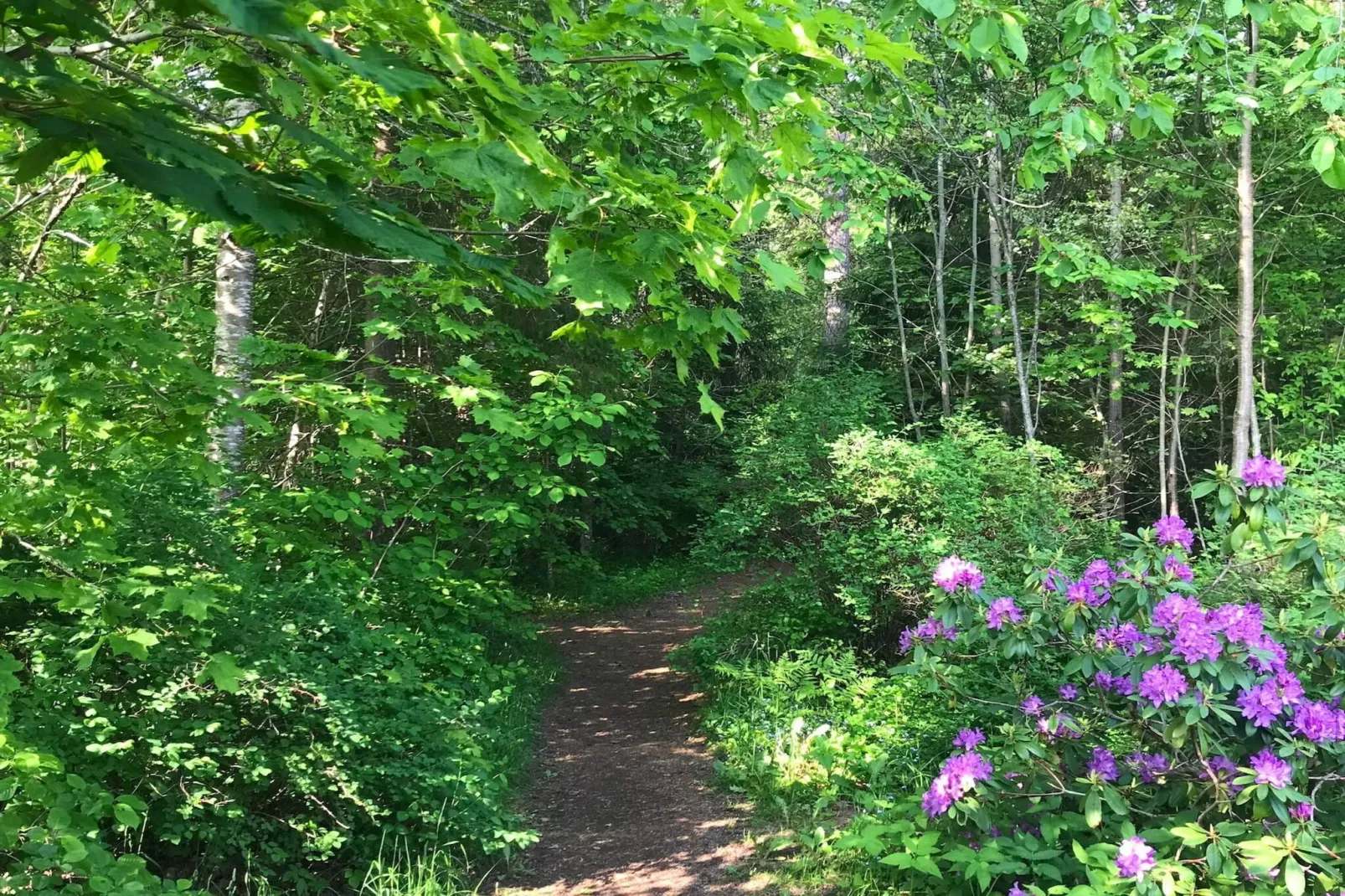 4 sterren vakantie huis in KNIVSTA-Niet-getagd