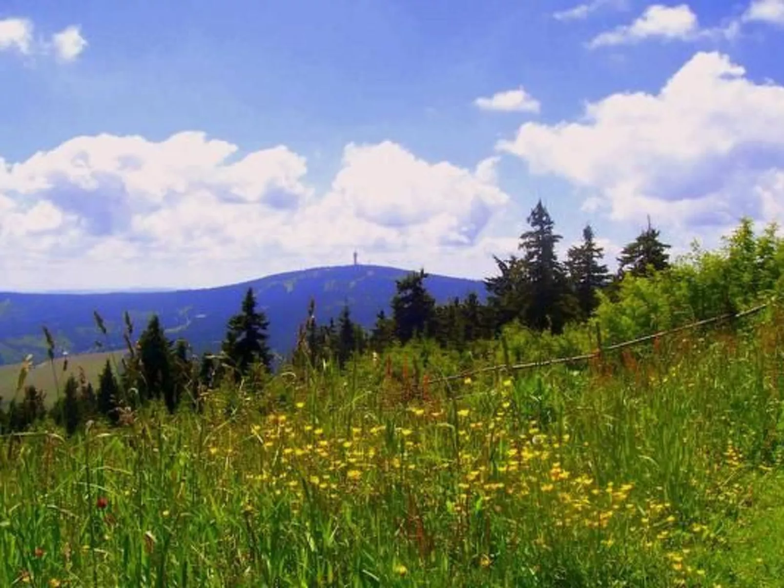 Fewo Bergkristall-Image-tags.info