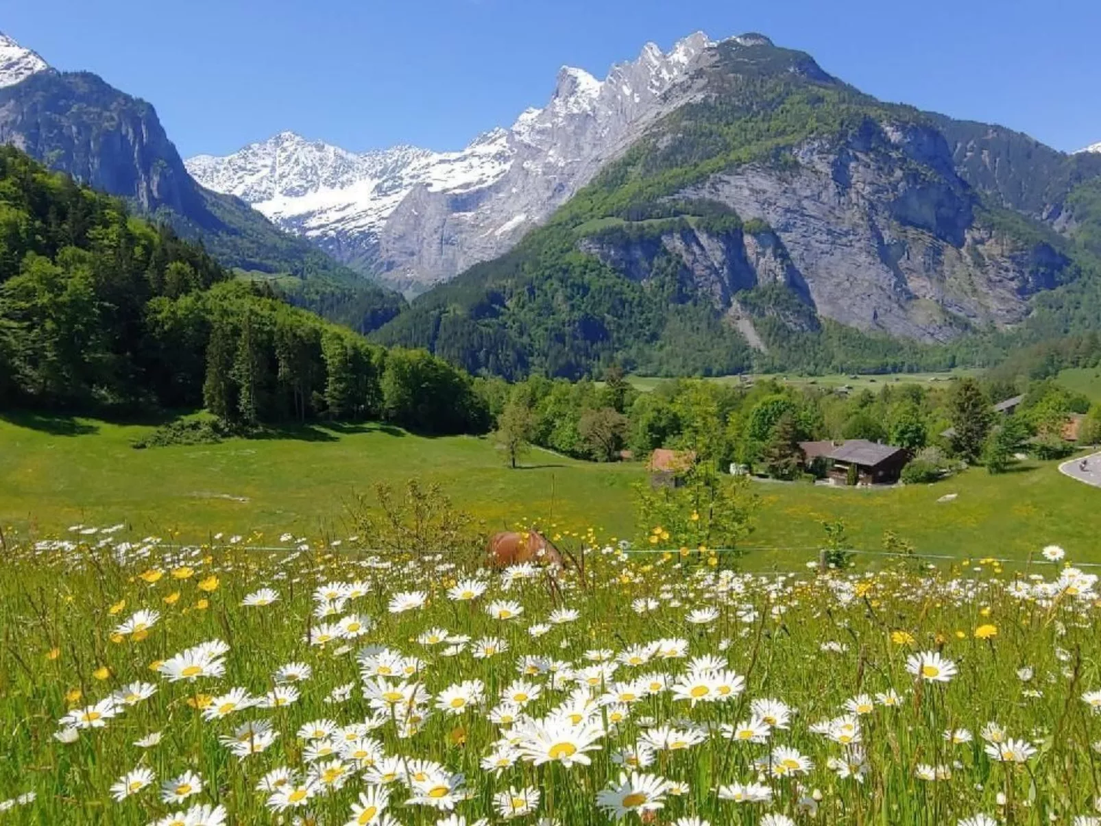 Wohnung Mit 2 Schlafzimmern “Alleschwendi” - Image-tags.info