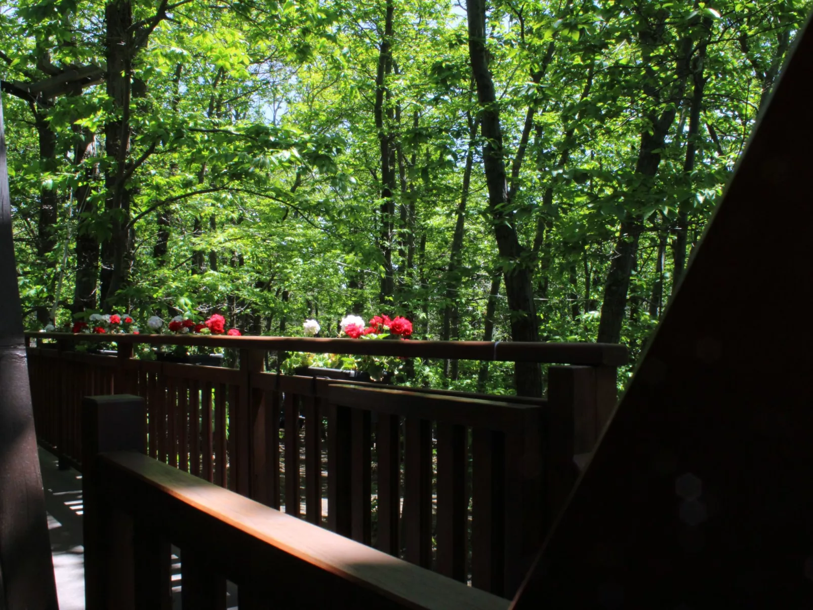 Mathilde's Chalet Naturhaus - Image-tags.info