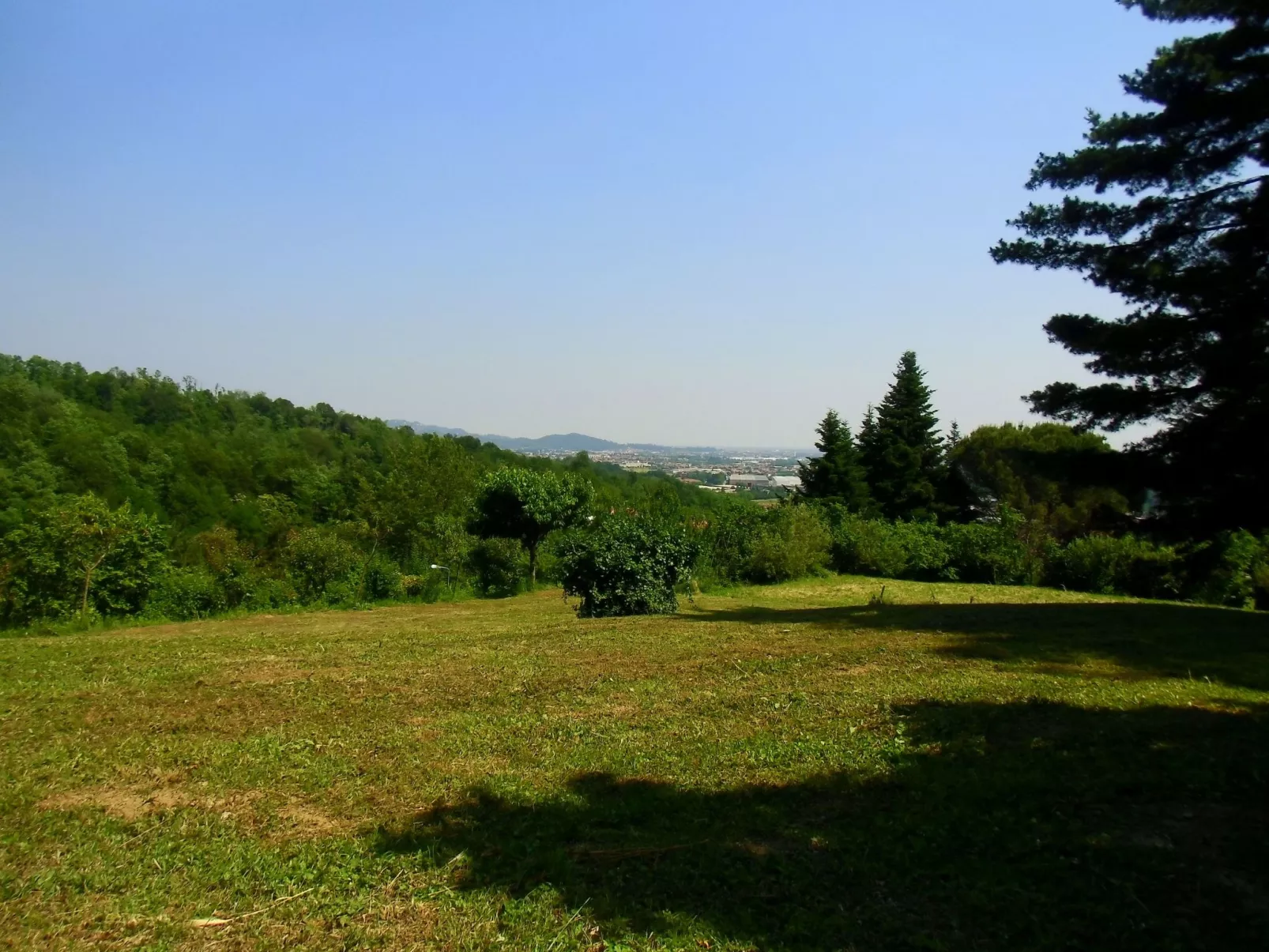 TaiObe - Fröhliches Partyhaus - Image-tags.info