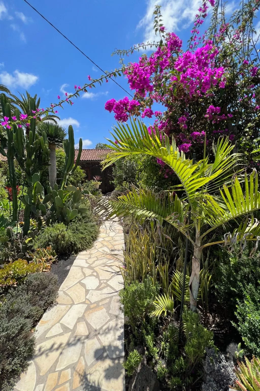 Casa Jardín Tropical - Image-tags.info