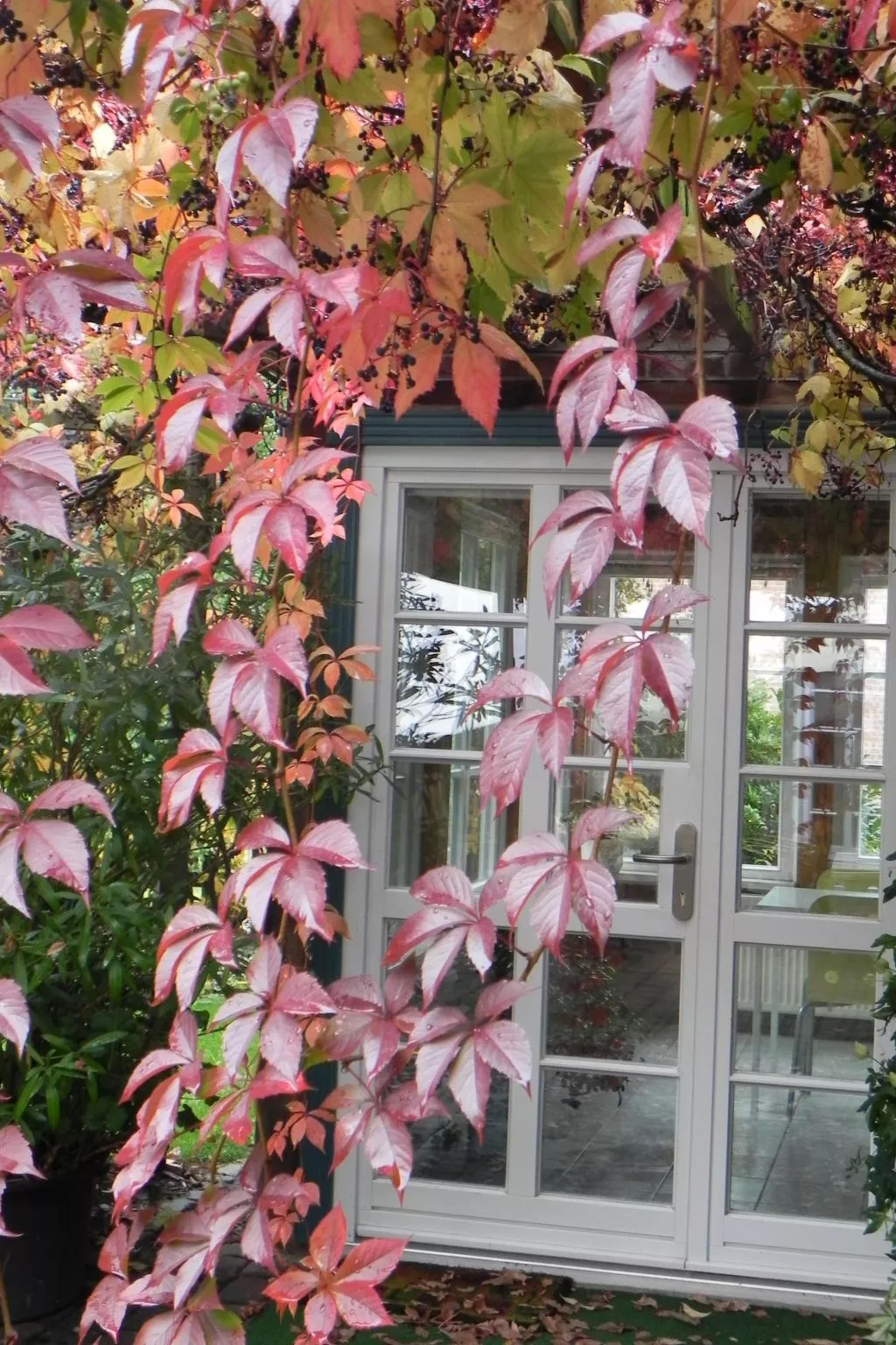 Nettes Apartement in Rüterberg mit Großer Terrasse - Image-tags.info