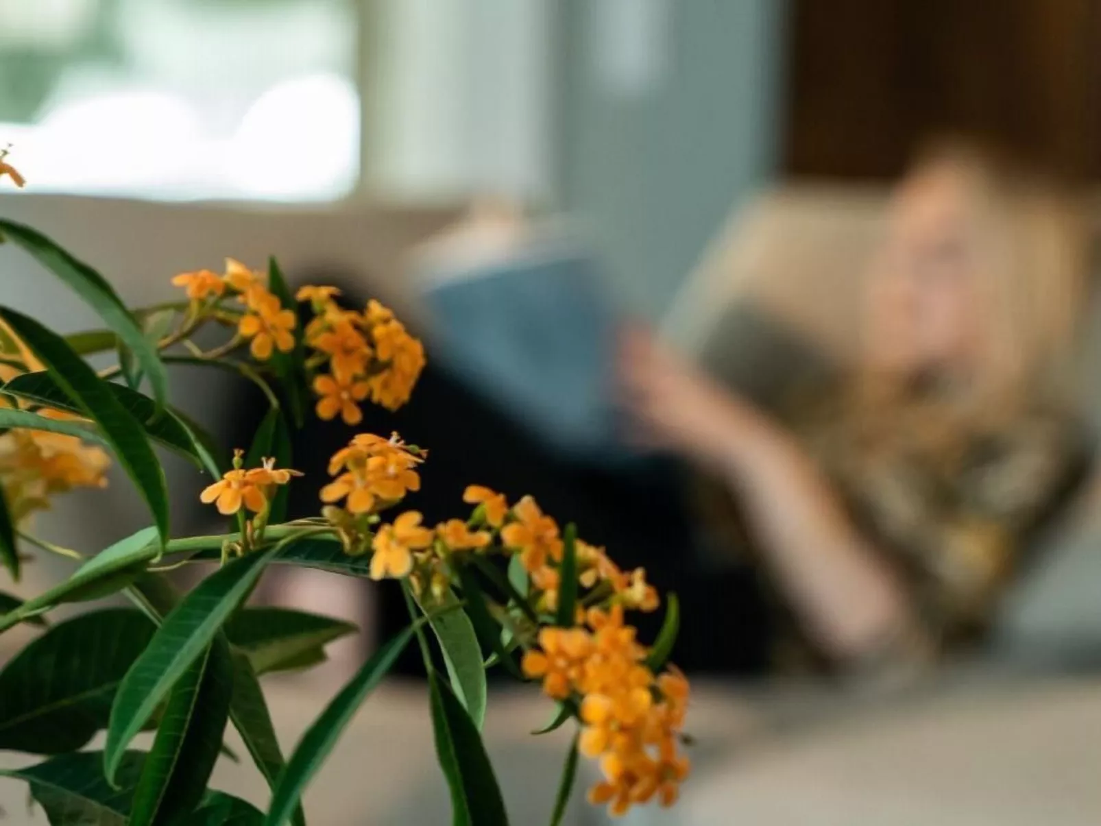 Gemütliche Wohnung mit Pool, Garten und Sauna - Image-tags.info