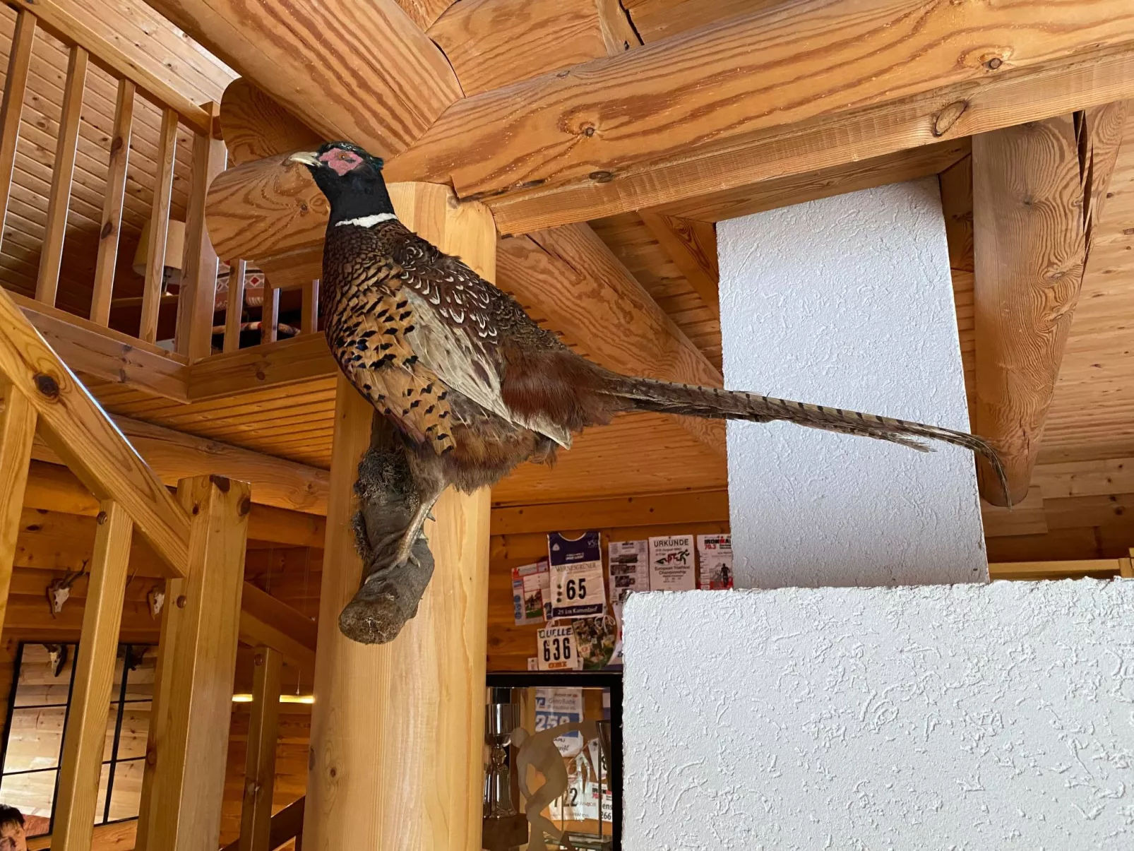 Am Rennsteig - Image-tags.info