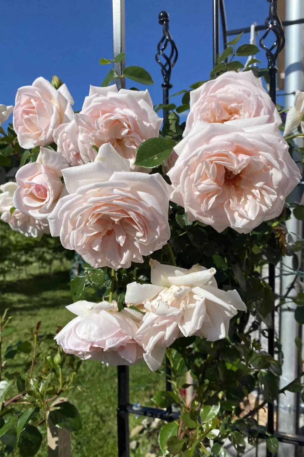 Neue Ferienwohnung in Schwarzenberg mit Garten und Grill - Image-tags.info