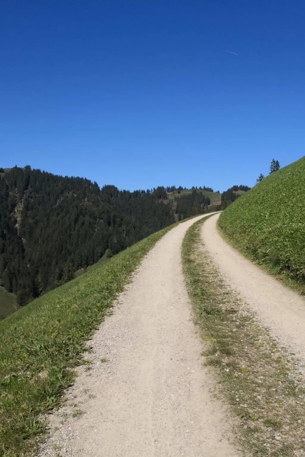 Karotte - Image-tags.info