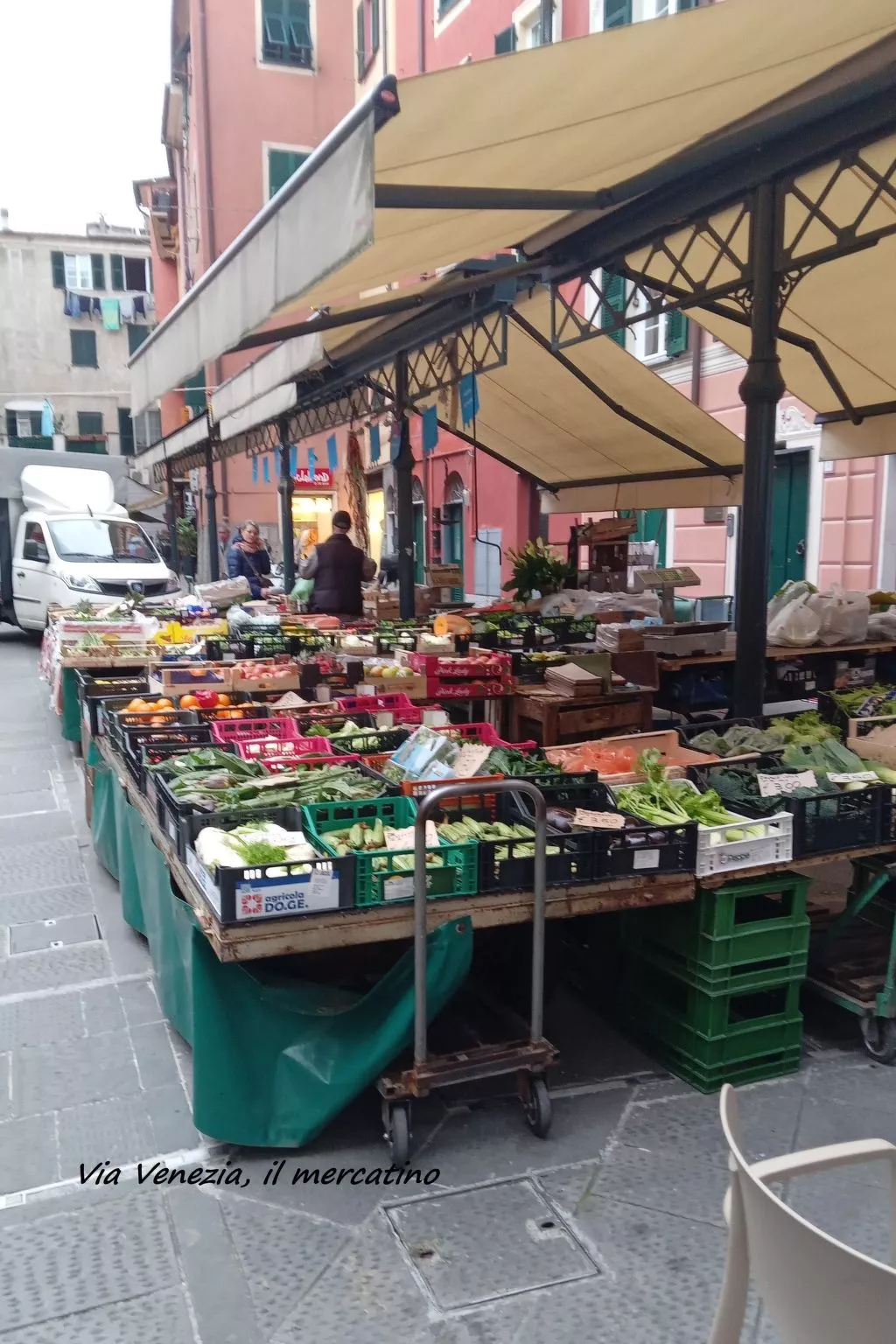 Seestern - Image-tags.info