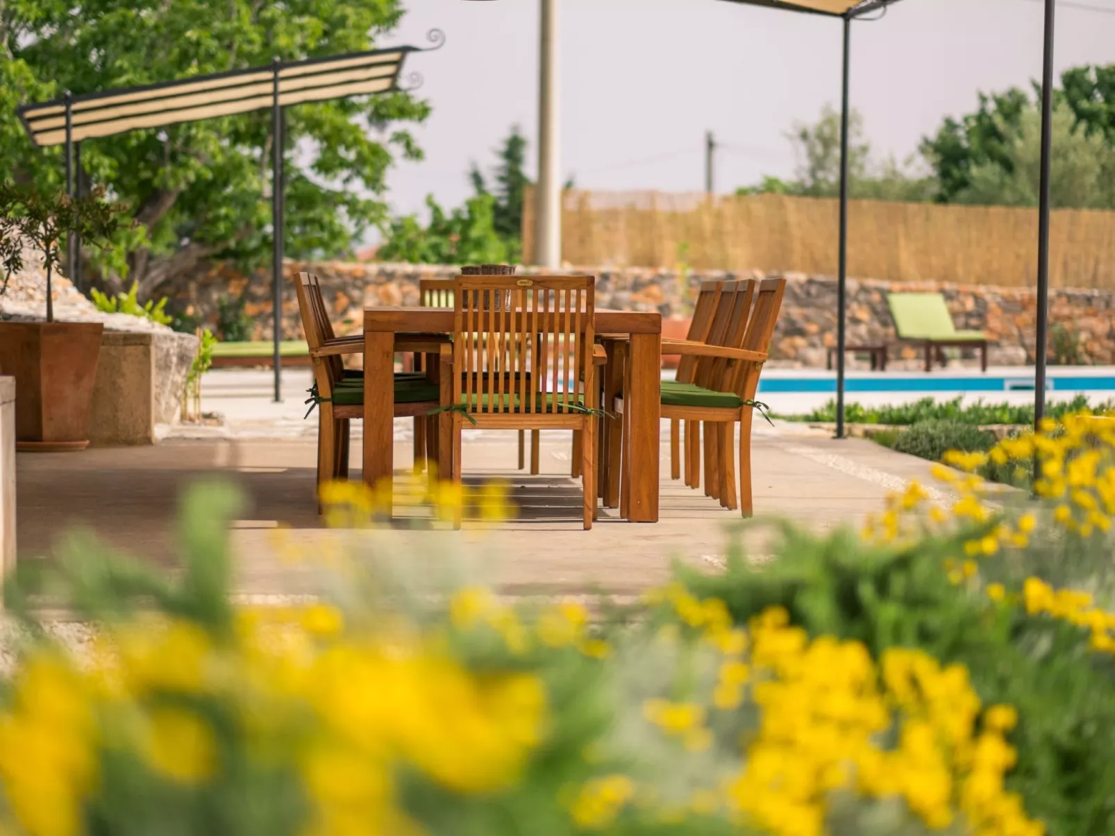 Villa mit Pool, Olivengarten und Meerblick - Image-tags.info