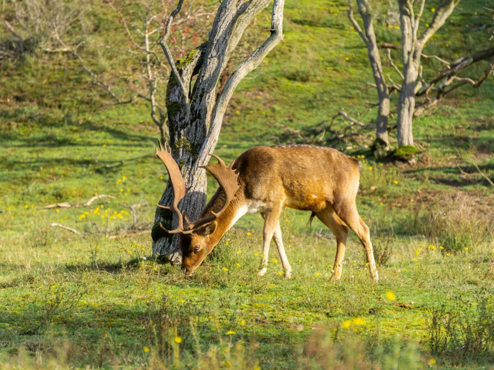 Bloem 'n Zee - Buiten