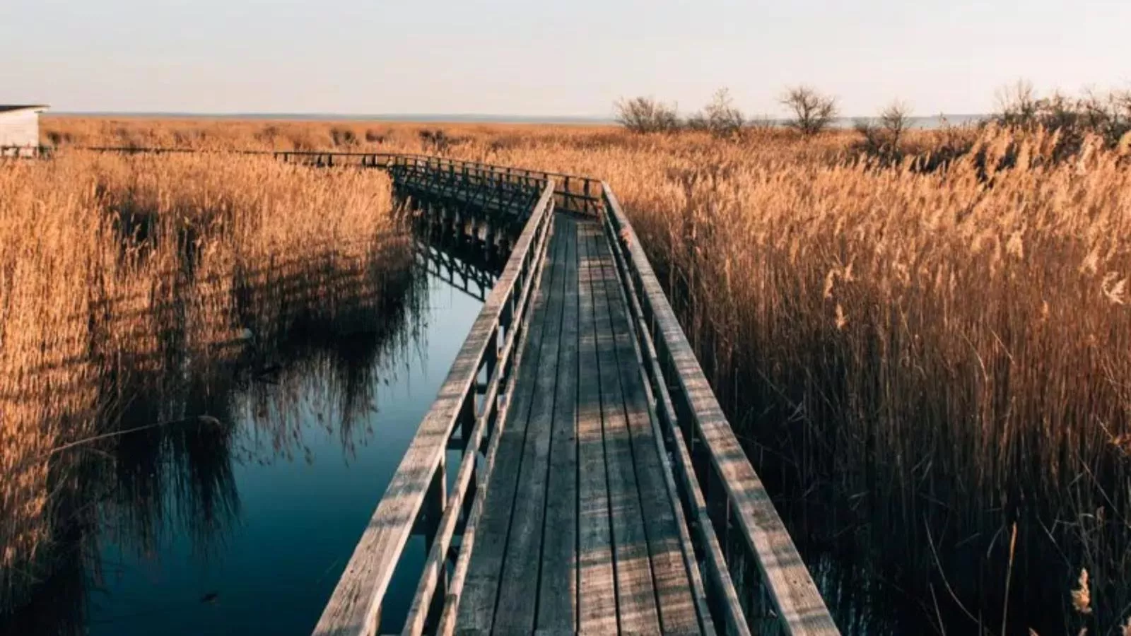 Guesthouse Naturgarten - Gebieden zomer 5km