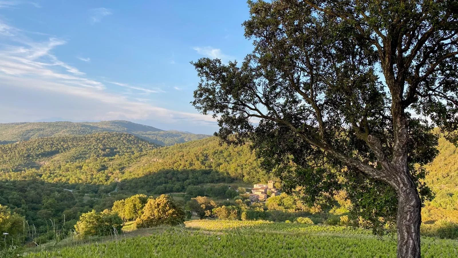 Les Roches du Sud - Gebieden zomer 1km
