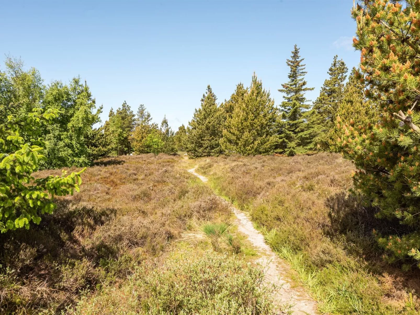 "Atti" - 2.5km from the sea - Buiten