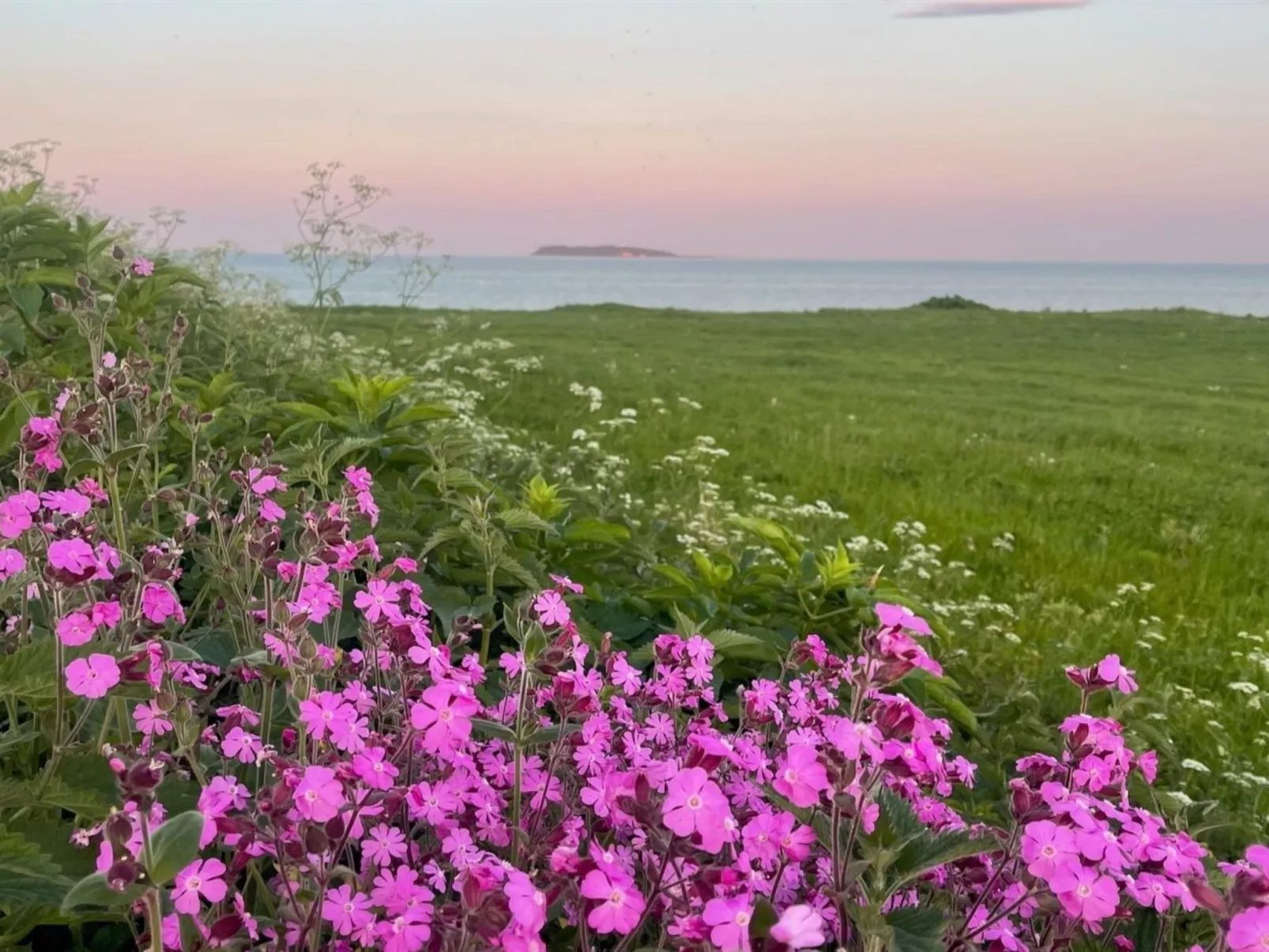 "Lilla" - 120m from the sea - Buiten