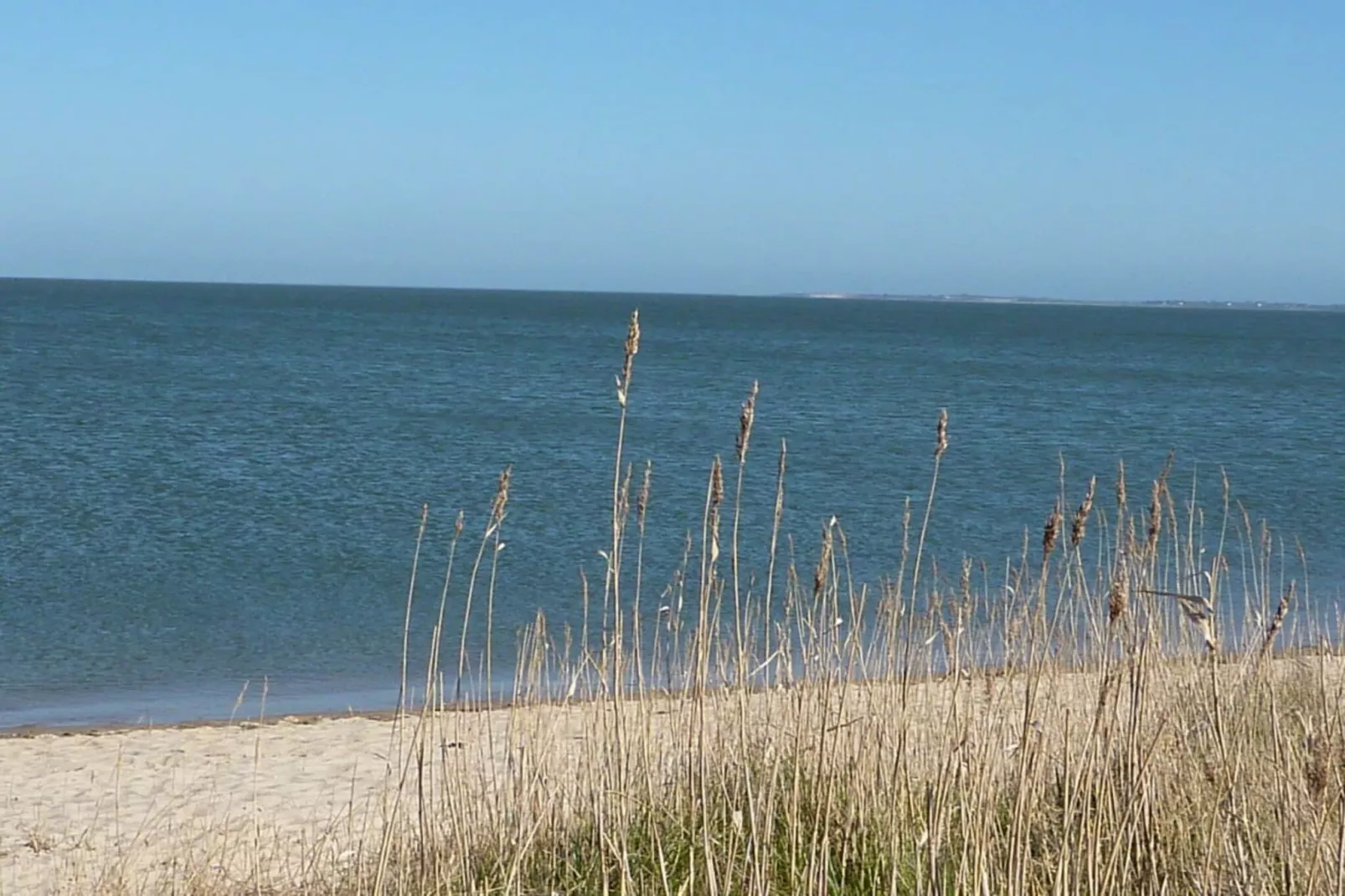 41327-Gebieden zomer 5km