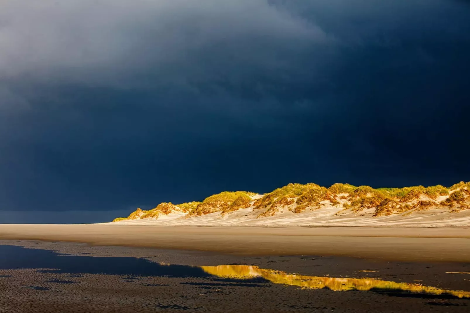 21220-Gebieden zomer 5km