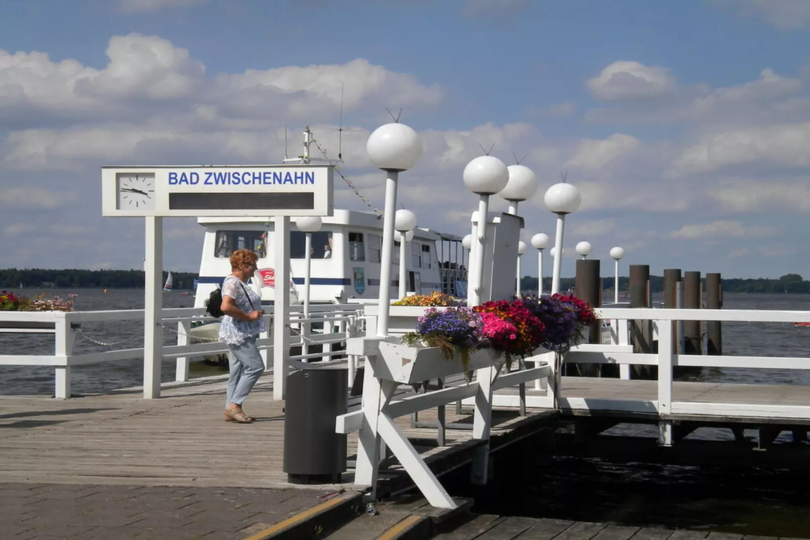 277617 - Gebieden zomer 5km