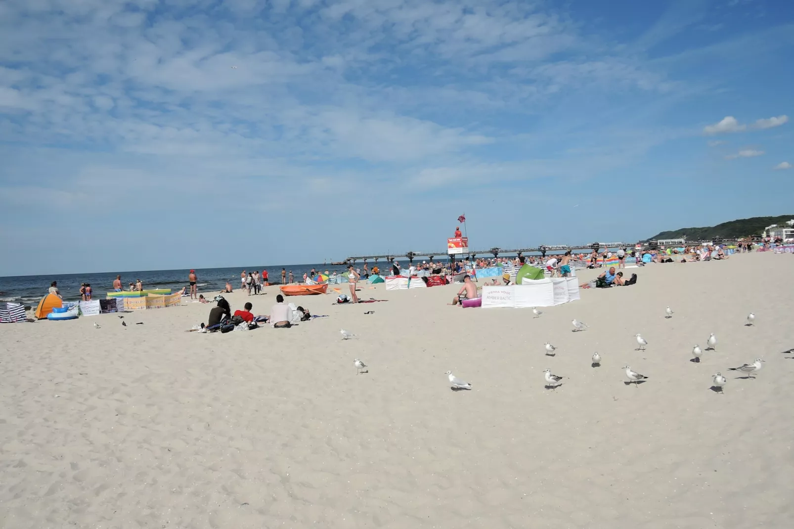 Domki Trebor dla 5 osób - Gebieden zomer 1km