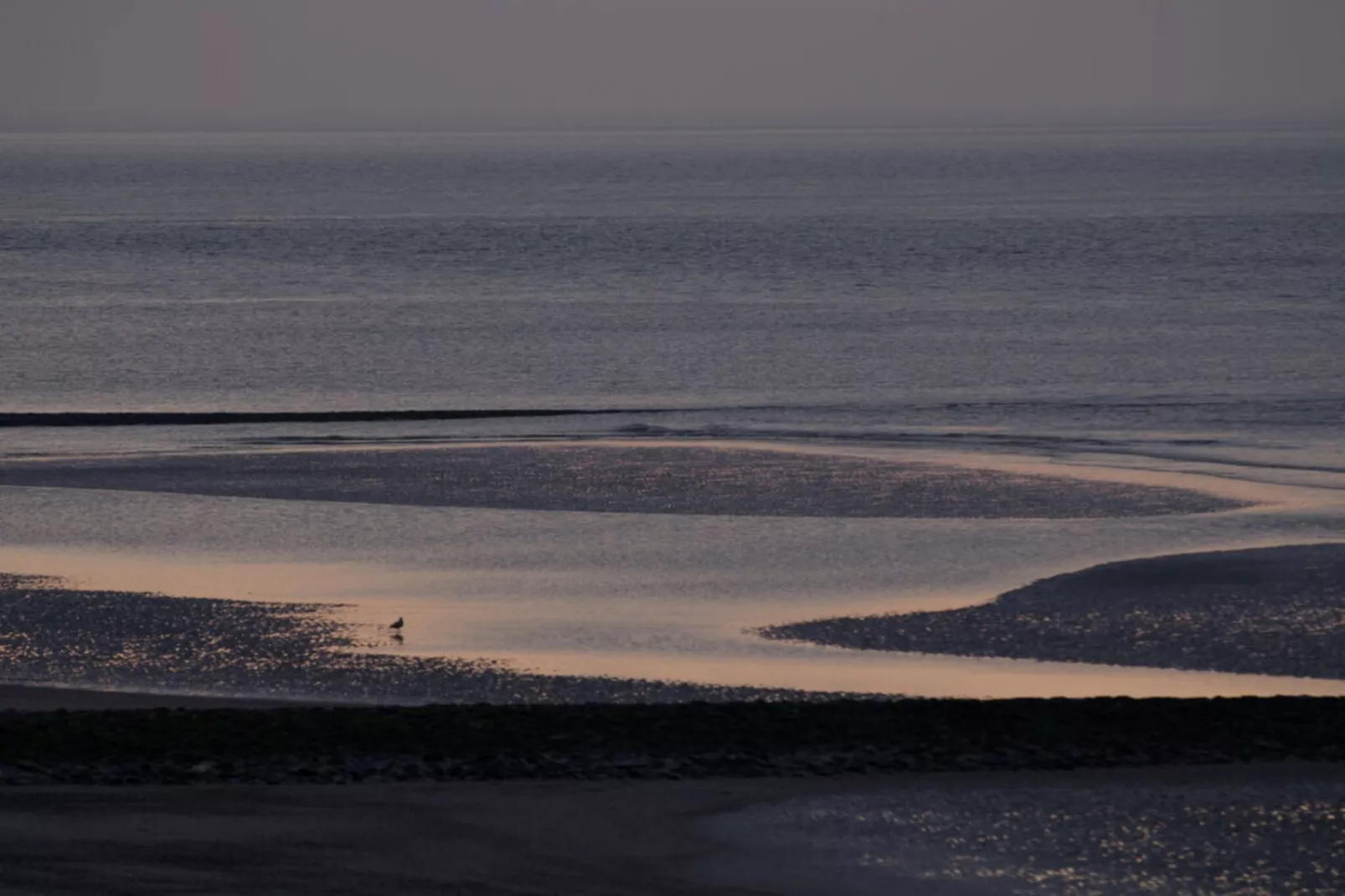 288360-Gebieden zomer 5km